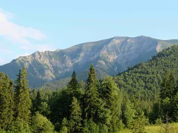 Ski Strednica